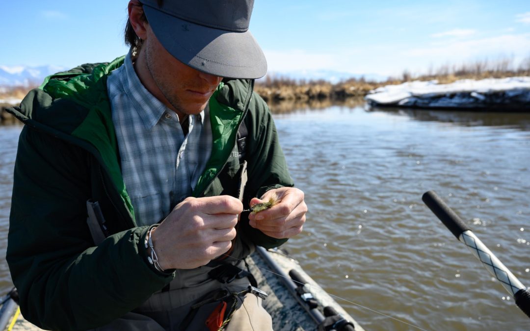 4/18/2020 Bozeman, MT Fly Fishing Report