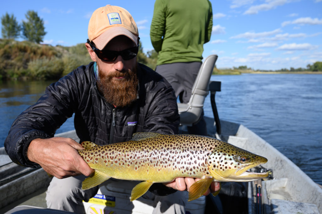 5 Tips for Montana Fall Fly Fishing Success - Montana Angling Company