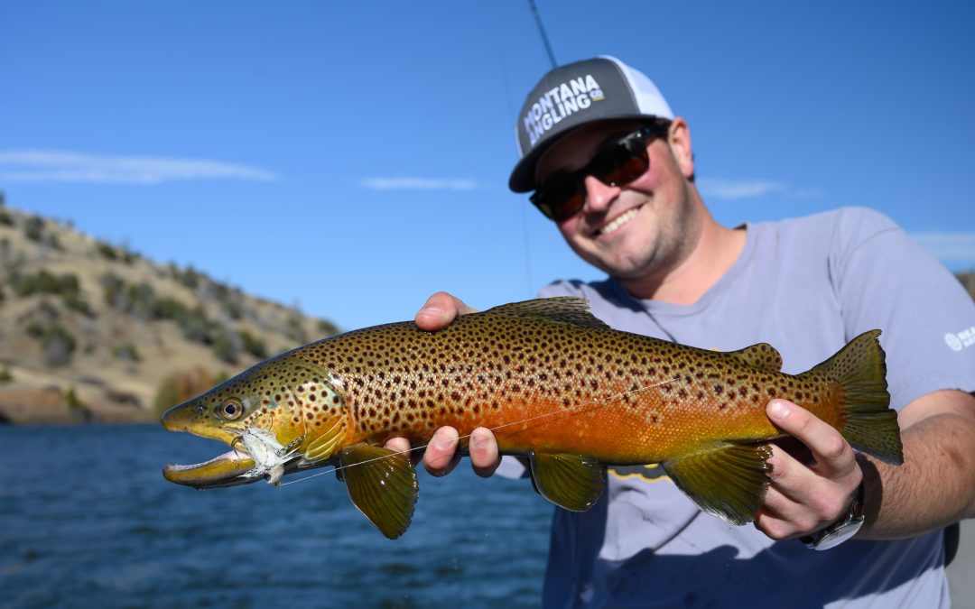 Guide to Fall Fly Fishing in Montana