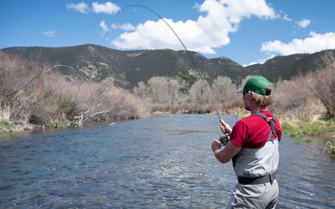 5/4/2020 Bozeman, MT Fly Fishing Report