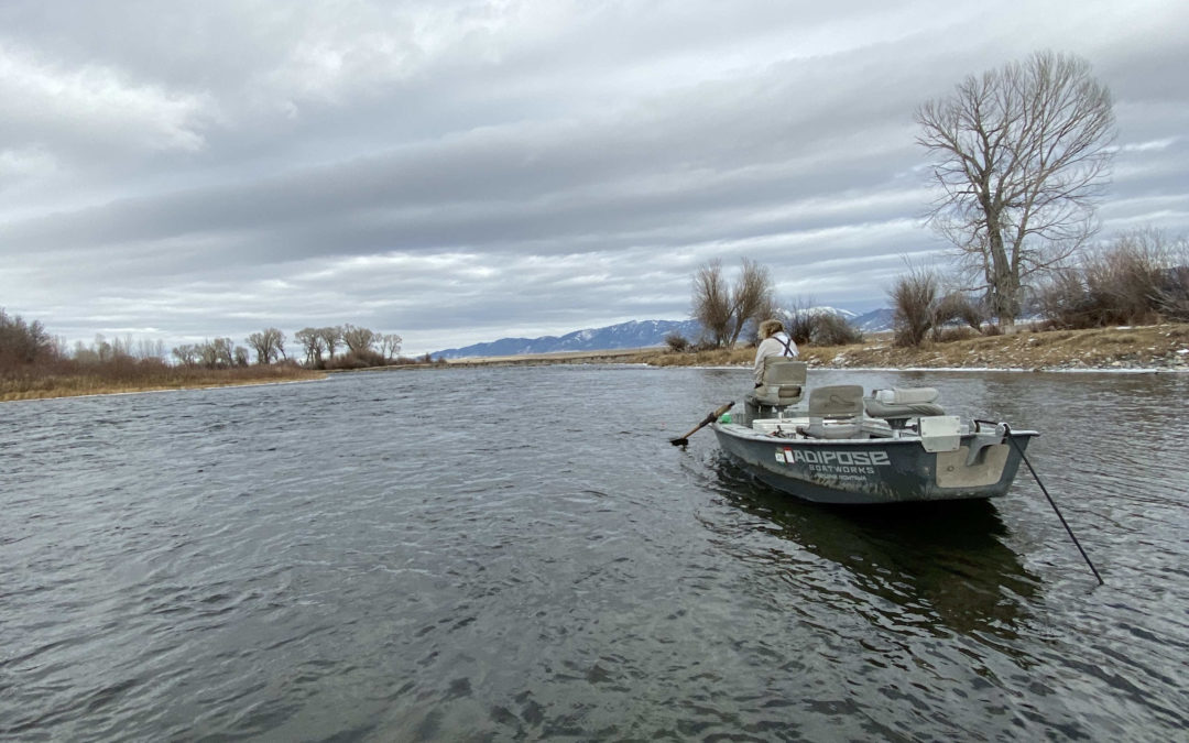 Bozeman, MT Fly Fishing Report 11/15/19