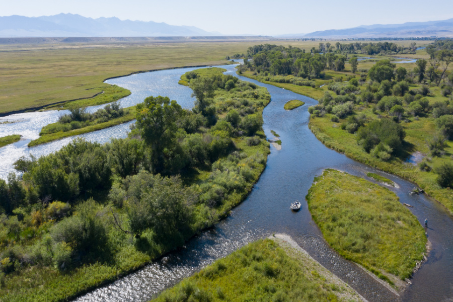 Madison River Fly Fishing Guides, Trips, and Outfitting - Montana Angling  Company