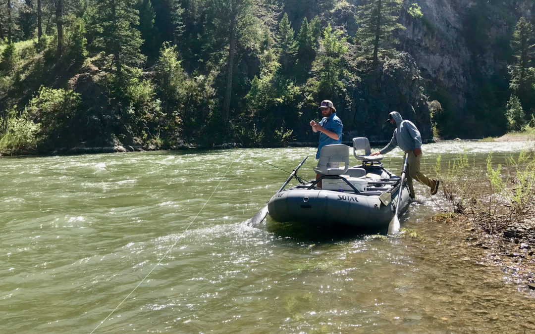 Bozeman, MT Fly Fishing Report 6/20/19