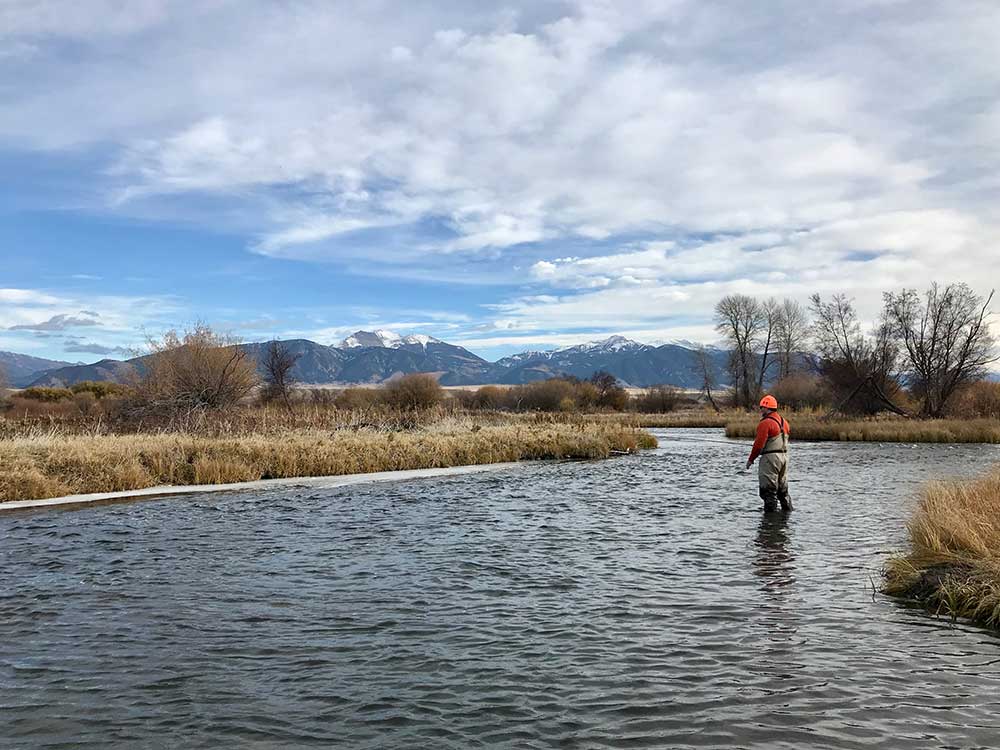 Madison River Fly Fishing - Montana Angling Company